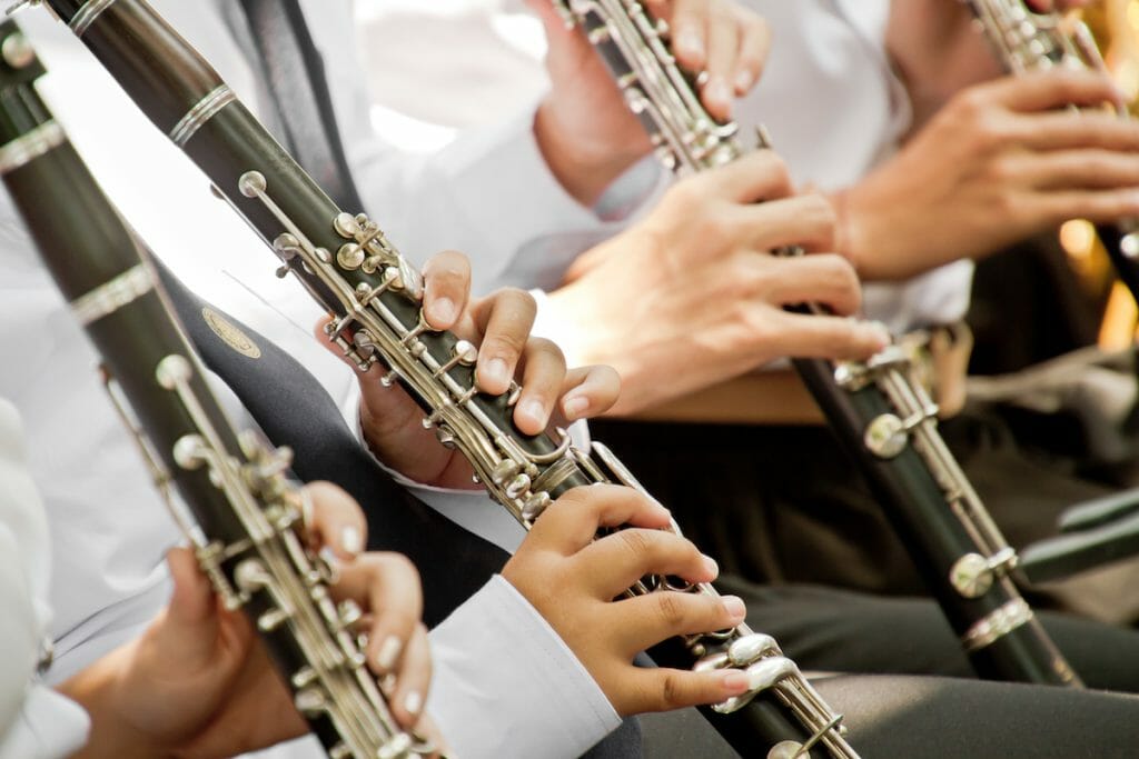 Clarinet player musical performance.